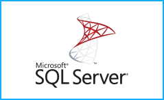 Dell Boomi Microsoft SQL Server Integration