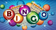 Bingo Online Lottery Game