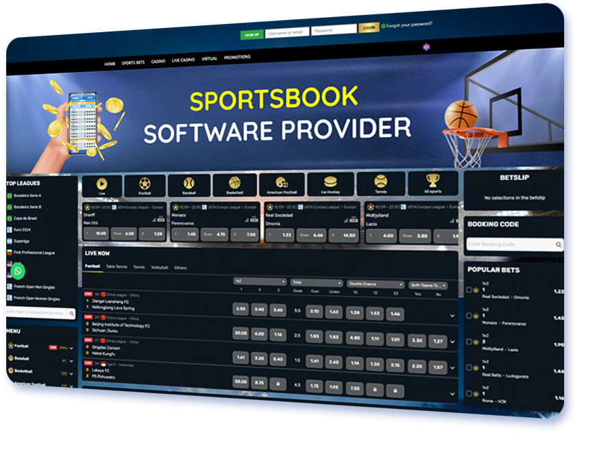 Sportsbook Software Provider