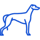 greyhound