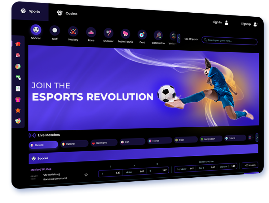 Custom Betting Software